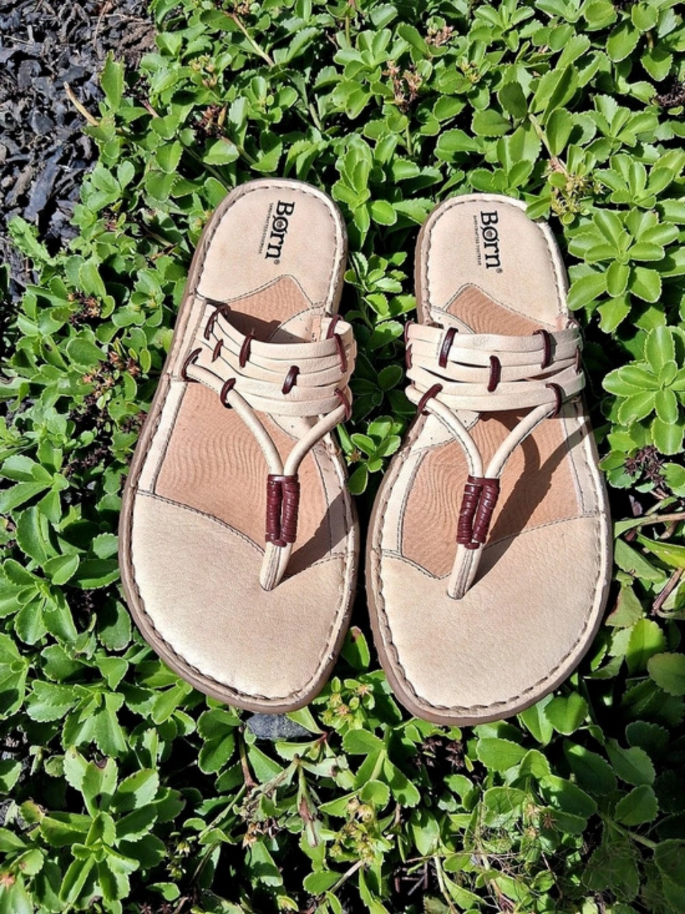 Women's Born Flat Thong Sandals in Brown And Cream W Sz8M